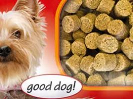 Pet lovers ham it up