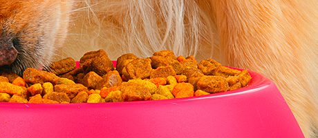 It’s a dog’s life and a good life Pets are eating better food than their owners, with treats proving particularly recession-proof. UK shoppers spent £239 million on treating their animals in 2012.