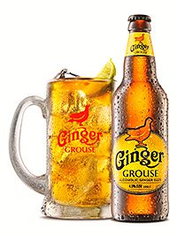 HISKY and whisky-linked drinks are often thought to be hard to sell to young adults. But Famous Grouse distributor Maxxium says it has had success with Ginger Grouse, its RTD aimed at 25-40 year-olds.