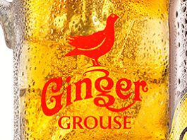 Ginger set to fly? HISKY and whisky-linked drinks are often thought to be hard to sell to young adults. But Famous Grouse distributor Maxxium says it has had success with Ginger Grouse, its RTD aimed at 25-40 year-olds.