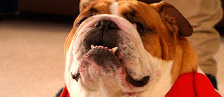 Getting through to Wembley Hello Wembley!