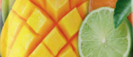 Innovation aids soft progress