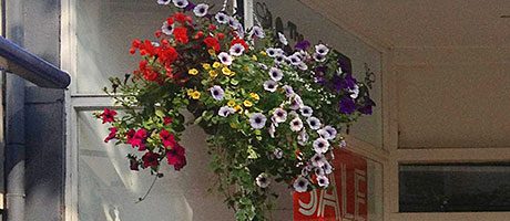 Specialist outlets in demand THE Honey Tree, a specialist baby items store in Stirling, has been sold by business agent Bruce & Co. The firm said it accepted an offer in excess of the asking price six months after the store came to the market.