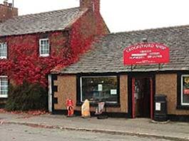 Don’t let doomsday knock you down