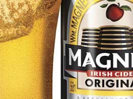 Fruitful time for cider – C&C brands Magners Cider