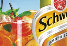 CCE’s 1.75l bottle, designed specifically for c-stores, comes in a distinctive curved bottle that echoes the shape of Coke’s classic glass bottle. Schweppes Summer Punch is designed for adults looking for a refreshing, fruity summer thirst-quencher.