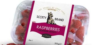 SCOTTISH produce specialist Scotty Brand is welcoming summer with new soft fruits and salad leaves. The strawberries, from Bruce Farm in Ayrshire, will arrive in stores this month, with the raspberries joining them in July.