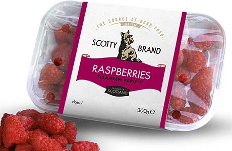 SCOTTISH produce specialist Scotty Brand is welcoming summer with new soft fruits and salad leaves. The strawberries, from Bruce Farm in Ayrshire, will arrive in stores this month, with the raspberries joining them in July.