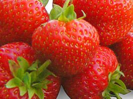 Summer fresh – Sales heating up for Scotty Brand Summer fresh