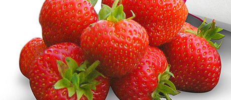 Summer fresh – Sales heating up for Scotty Brand Summer fresh