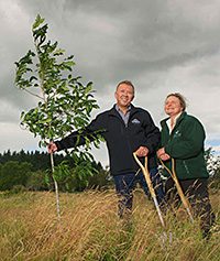 Planting boost for the Ochils