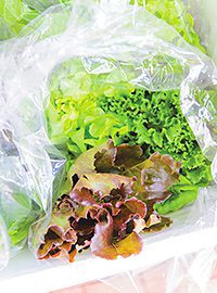 More than two thirds of bagged salad tracked in Tesco analysis was wasted and apples, grapes, bananas and bread also showed high levels of waste. Zero Waste Scotland says Scotland wastes 2.1m tonnes of food a year.