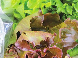Grocer goes to war on waste More than two thirds of bagged salad tracked in Tesco analysis was wasted and apples, grapes, bananas and bread also showed high levels of waste. Zero Waste Scotland says Scotland wastes 2.1m tonnes of food a year.