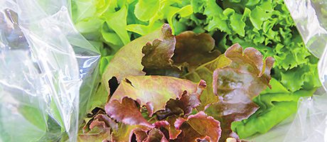 Grocer goes to war on waste More than two thirds of bagged salad tracked in Tesco analysis was wasted and apples, grapes, bananas and bread also showed high levels of waste. Zero Waste Scotland says Scotland wastes 2.1m tonnes of food a year.