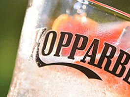 Flavour finds favour Kopparberg