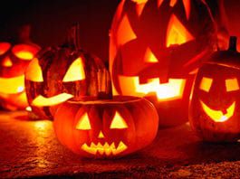Halloween gives food a bump – October analysis Pumpkin pie might have been on the menu as Halloween contributed to a late surge in Scotland’s retail food sales in October