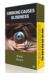 How a standardised cigarette pack might look. The Scottish Government plans to introduce a bill in 12 - 18 months.