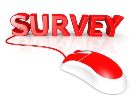 Survey 2013