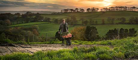 British pride leads souper campaign Crosse & Blackwell