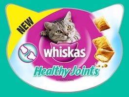 Pet food giant launches keep fit treat petcare