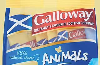 Out pop the Animals Galloway cheese