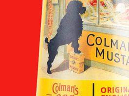 Mustard’s blast from the past 30a_tmb_0714