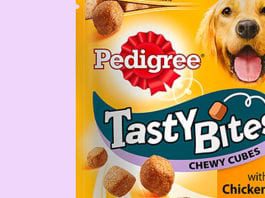 Something to chew on 22a_tmb_0914