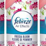 Febreze-Freesia
