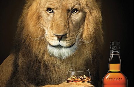 Lion purrs in surprisingly smooth Scotch push