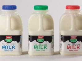 Building the dairy future