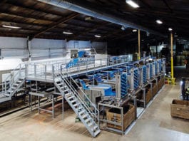 Potatoes on the line