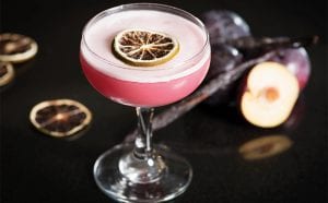 edinburgh-gin-oct-2016_plum_cocktail-2-copy