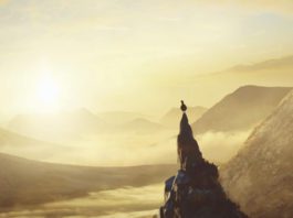 Grouse set for huge TV flight