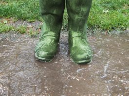 Welly launches competition for a Rainy Day