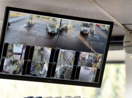 ‘Diamonds’ are a dealer’s best friend