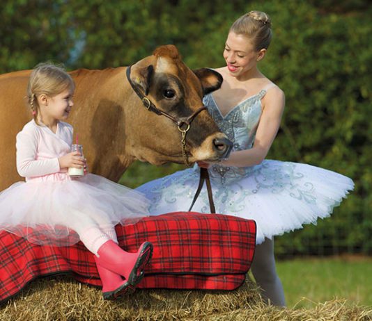 Healthy start to New Year