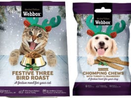 Festive feasts for furry friends Webbox Christmas pet food