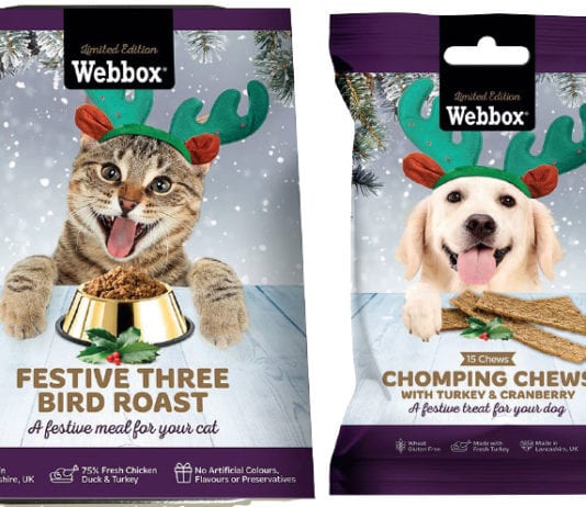 Festive feasts for furry friends Webbox Christmas pet food