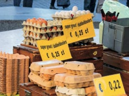 Keeping ‘field to fork’ secure Supply chain woes: Contaminated Dutch eggs caused chaos for supermarkets in August.