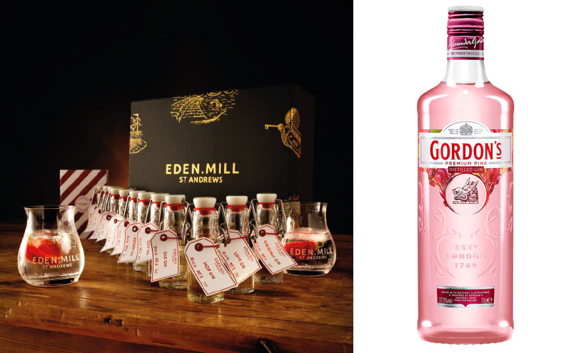 Eden Mill gin and Gordon's pink gin