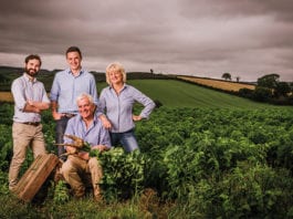 Get an edge with vedge