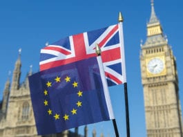 Industry fires Brexit warning shot