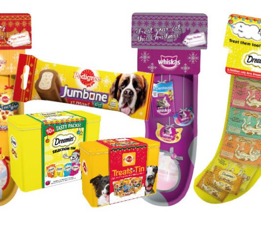 A four-legged festive treat Selection of Christmas gifts for pets