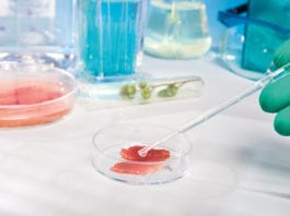 Trends for the times ahead