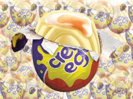 Hunt is on for rare egg