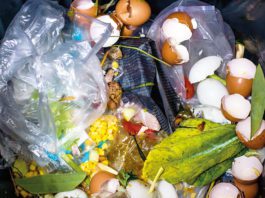 Discounter targets 50% waste cut