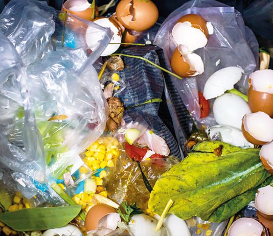 Discounter targets 50% waste cut