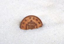 Penny in sugar