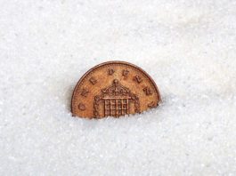 Sugar levy is not too taxing Penny in sugar