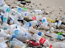 Britvic backs plastic pledge Plastic bottles